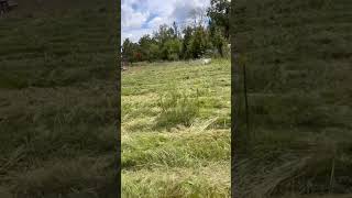 Preparation Moving Layers pasturedpoultry farmtour nola gulfcoast homesteaders [upl. by Immat644]