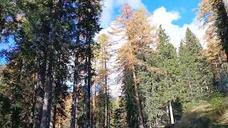 Road to Malga Ra Stua IV Ampezzo Dolomites VIII Veneto Italy 221024 sunny foliage dolomites [upl. by Aneel]