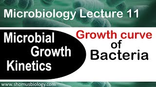 Bacterial growth curve microbiology  Log phase lag phase stationary phase in microbial growth [upl. by Onilecram]