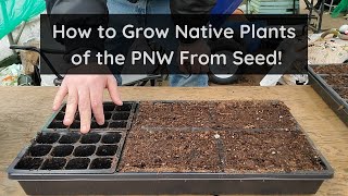 How to Propagate Native Plants of the PNW From Seed [upl. by Scarlett165]