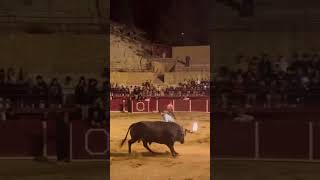 Impresionante salto a un toro embolado de Fernando Murillo recortadores toros juventud pasión [upl. by Mailand]