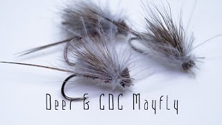 DeerampCDC Mayfly [upl. by Aelrac469]