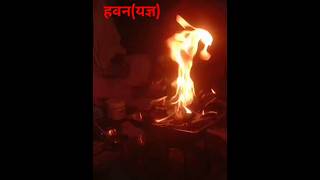 Agnihotra यज्ञ 🔥 arya Samaj sanatandharma vidushianjaliarya [upl. by Erinn]