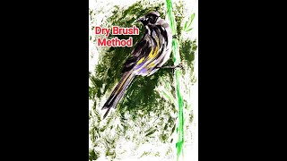 Dry Brush Method Painting [upl. by Einalem]