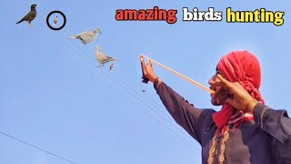 amazing birds hunting with slingshot [upl. by Ammann]