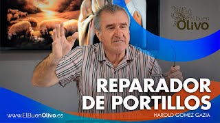 Reparador de Portillos [upl. by Philippine]