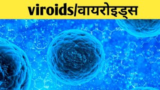 viroids in hindi viroids disease structure of viroidsviroids potato disease [upl. by Auberbach930]