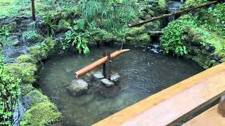 A bamboo water feature at the Butchart Gardens [upl. by Maddi]