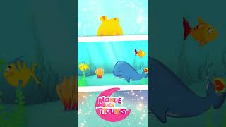 Chante et Danse avec les Titounis  Musiques et Chansons pour Enfants Cest la baleine [upl. by Edialeda]