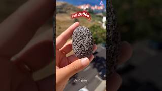 Pumice Stone [upl. by Cadmar]