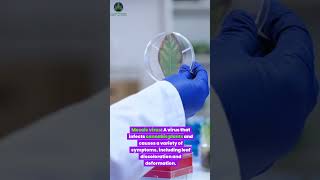 Mosaic virus botany plantscience science naturediscovery shortvideo chemistry biologylearning [upl. by Enilehcim]