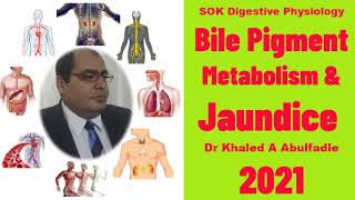 Bile Pigment Metabolism amp Jaundice 52021 by Dr Khaled A Abulfadle [upl. by Nnylram]