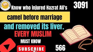 Know who injured Hazrat Alis camel before marriage and removed its liver3091Mubashar Ahmed 566 [upl. by Tehcac]