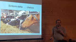 La CHETOSI 57 malattie metaboliche della bovina da latte [upl. by Allenotna926]