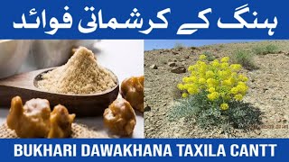 The Miraculous Benefits amp UsesOf Hing  HeengAsafoetida Ke Fawaid  ہنگ کے فوائد اور استعمال [upl. by Dabney]