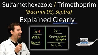 SulfamethoxazoleTrimethoprim Bactrim Septra Uses Coverage Dosage UTI Treatment Etc [upl. by Jameson]