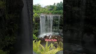 The Waterfalls At Bird Paradise shorts youtubeshorts viralvideo [upl. by Fredi]