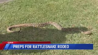 vendors prepare for 61st annual opp rattlesnake rodeo [upl. by Auop]