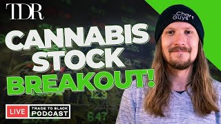 Cannabis Stocks Rip Higher amp SNDL Earnings Recap  Trade To Black [upl. by Timms]