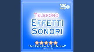 Cavallo Al Galoppo  Sounddesign Effetti Sonori [upl. by Suehtomit99]