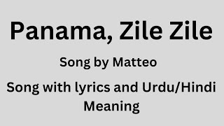 Zile Zile TikTok remix song with lyrics and UrduHindi meaning [upl. by Nahtanod]