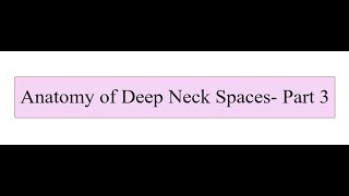 Anatomy of Deep Neck Spaces  Part 3 [upl. by Euqinu]