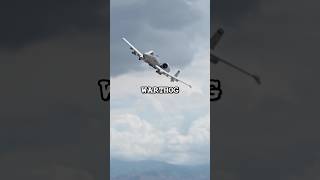 What Makes the A10 Warthog so Slow [upl. by Sirraj770]