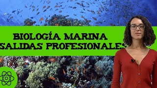 Biología marina 🐳 Qué es Salidas profesionales [upl. by Einnel618]