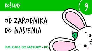 Od zarodnika do nasienia  Rośliny 9  matura liceum biologia rozszerzona [upl. by Beata965]