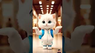 catvideos shortvideo [upl. by O'Grady]