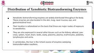 Biotransformation by enzymes [upl. by Yelyab]