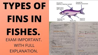 TYPES OF FINS IN FISHESFull explanation with noteszoology [upl. by Mccomb]