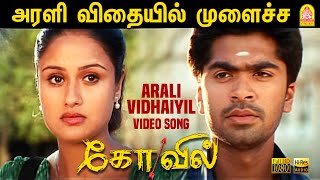 Arali Vidhaiyil  அரளி விதையில்  HD Video Song  Kovil  Simbu  Sonia Agarwal  Harris Jayaraj [upl. by Elaen566]