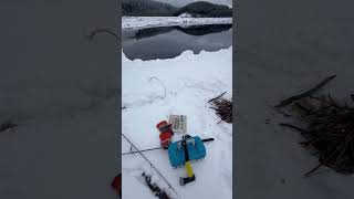 Winter Backcountry British Columbia shorts [upl. by Corney866]