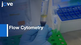 Flow CytometryBased Cytotoxicity Assay to Assess NK Cell Activity  Protocol Preview [upl. by Nylyahs]