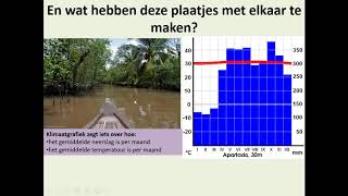 Landschapszones en klimaatzones [upl. by Epps]