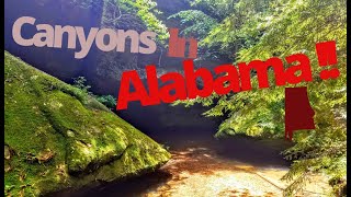 A guide to Dismals Canyon Alabama [upl. by Crutcher]