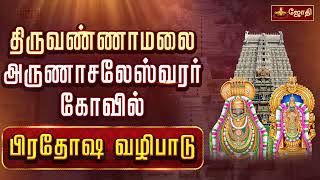 திருவண்ணாமலை ஸ்ரீஅருணாச்சலேஸ்வரர் கோவில்  புரட்டாசி மாத மகாளய பட்ச பிரதோஷ வழிபாடு [upl. by Ecnav]