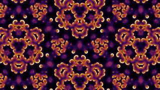 GrayScott reaction diffusion simulation on orbifold 33 [upl. by Einahpats55]