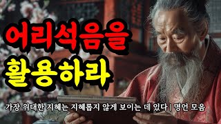 가장 위대한 지혜는 지혜롭지 않게 보이는 데 있다  인간관계 명언  도덕경 채근담 순자 발타자르 그라시안 소크라테스 쇼펜하우어  어리석음을 활용하라 [upl. by Aik]