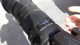 Sigma 150600mm Sports Lens 150mm Focus Speed Test [upl. by Nav394]