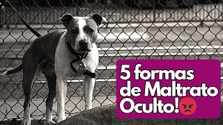 Las 5 Formas de Maltrato Animal que Todos Ignoran🐾 [upl. by Schriever]