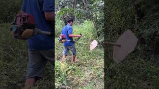 agrotech farming agrico diy satisfying farmtech agriculture agrotechnology shorts video [upl. by Neeuq]