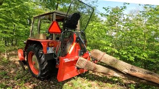 ZETOR 3011  Naviják Krpan 4SI a první těžba dřeva ve svahu aku pilou Husqvarna T540i XP [upl. by Ayerhs223]