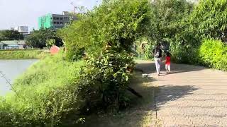 Chetpet eco park bridge [upl. by Hatfield]