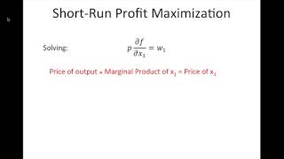 Profit Maximization [upl. by Enetsirk976]