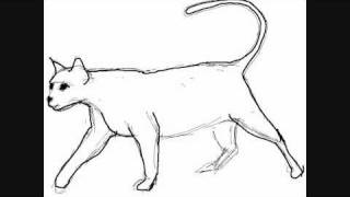 How to draw a cat walking  Things to Draw [upl. by Tedi16]