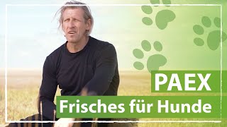 PAEX  Frisches für Hunde [upl. by Tymon]