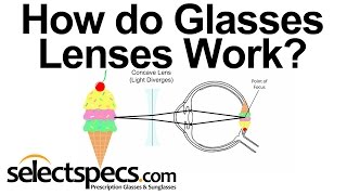 How do Glasses Work  With Selectspecscom [upl. by Elana517]