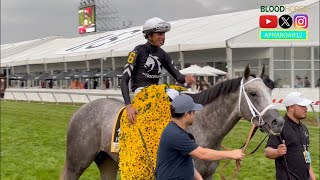 2024 Preakness Stakes Mystik Dan Continues Triple Crown Pursuit Can Another quotSeizequot the Moment [upl. by Auqinahc]